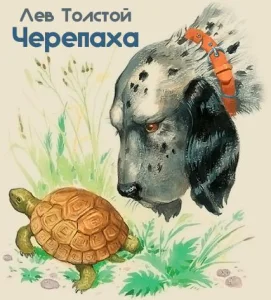 Черепаха