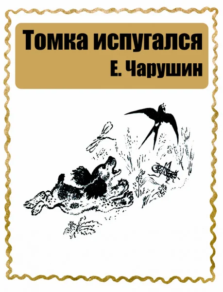 Томка испугался