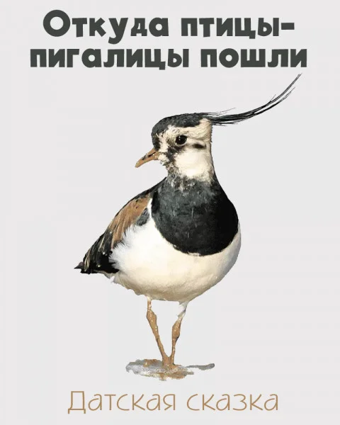 Откуда птицы-пигалицы пошли