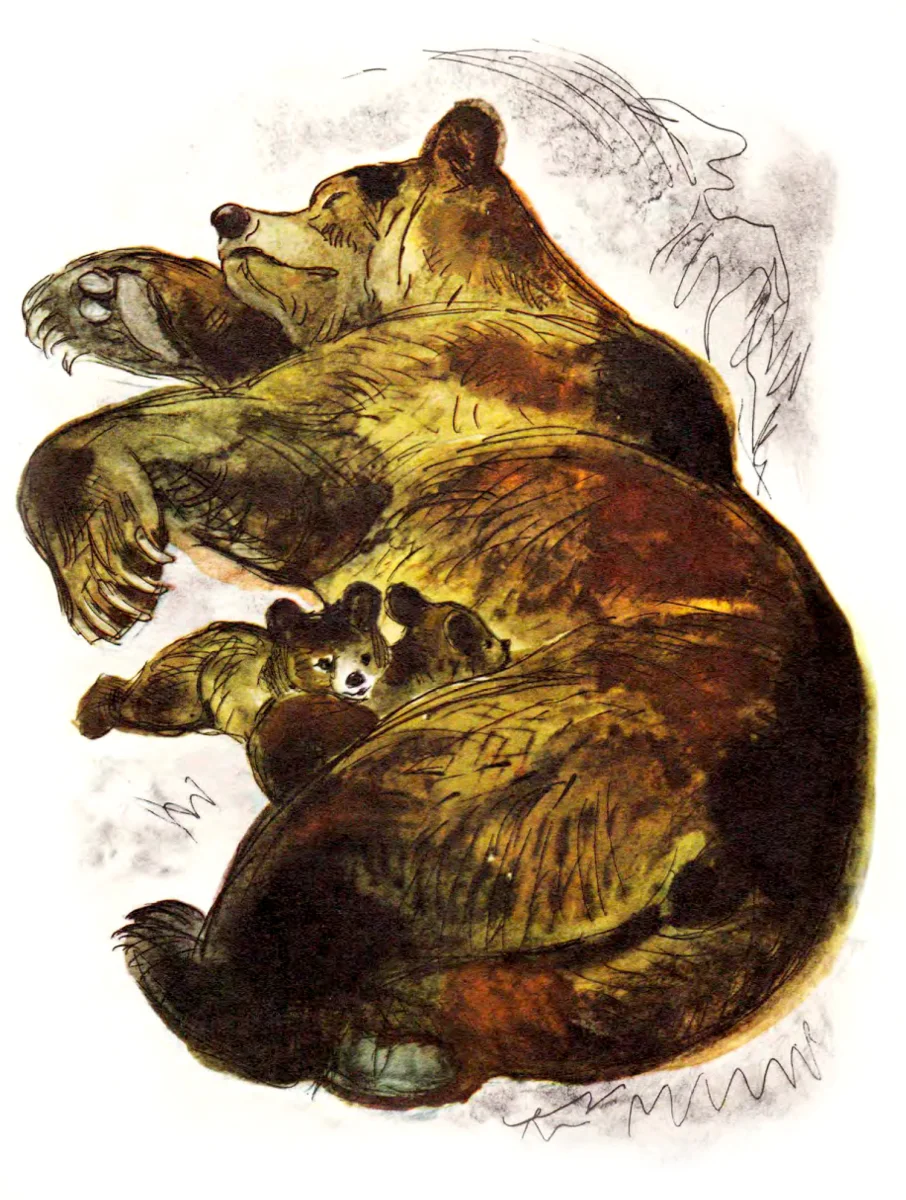 Медведиха с медвежатами