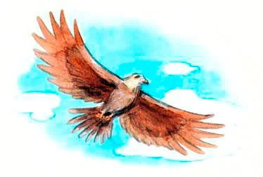 Орел летает