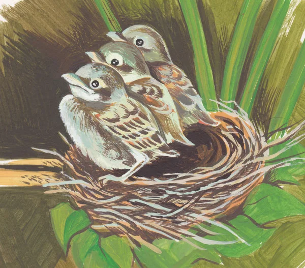 Умная птичка