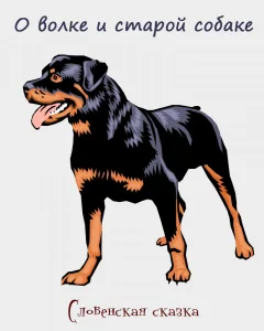 О волке и старой собаке