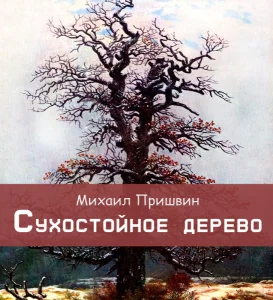 Сухостойное дерево