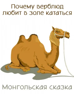 Почему верблюд любит в золе кататься
