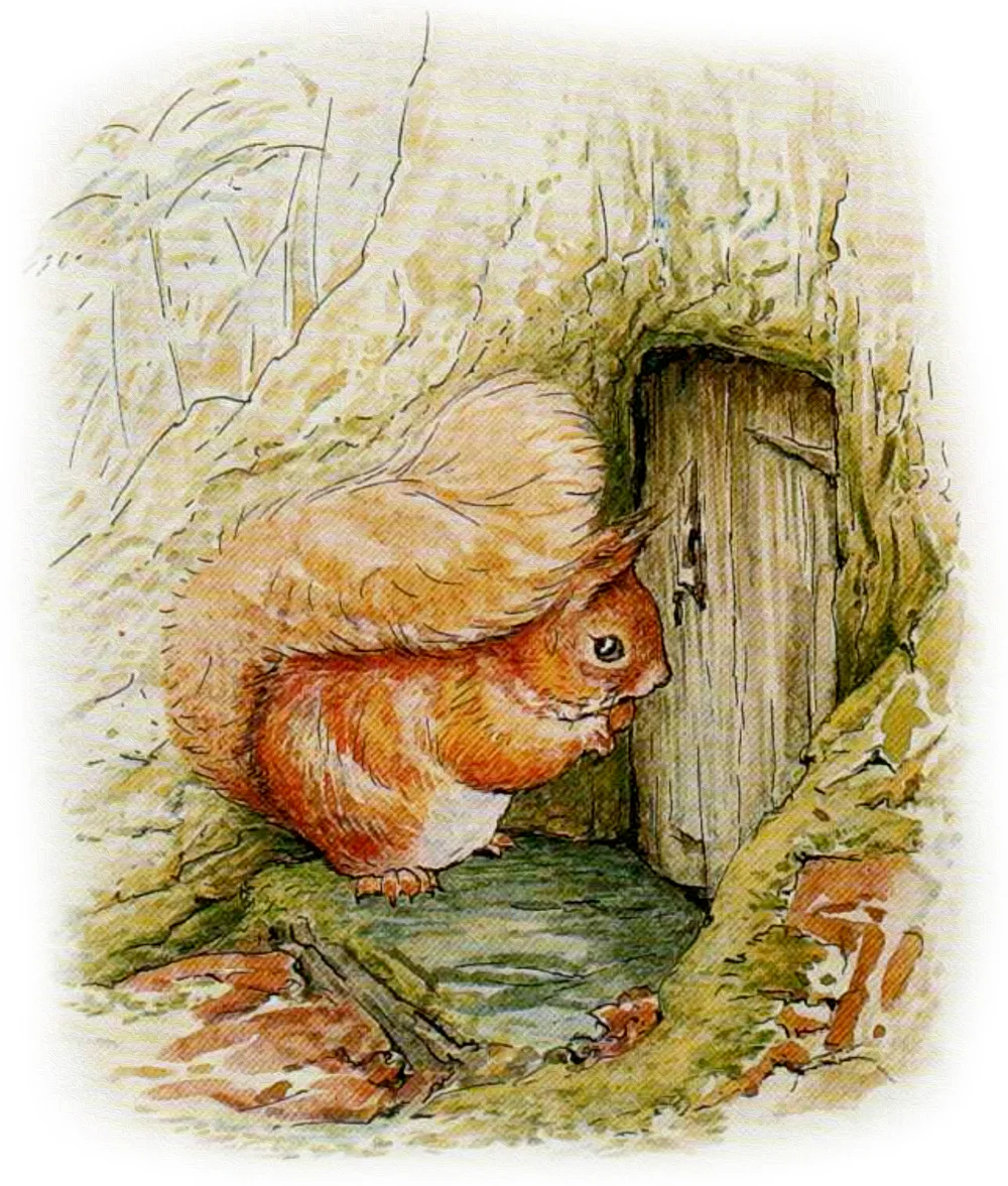 Бельчонок у закрытой двери