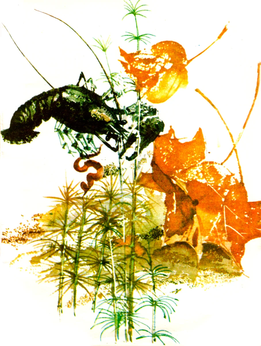 Рак среди листьев