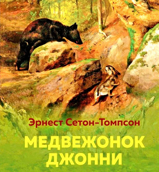 Медвежонок Джонни