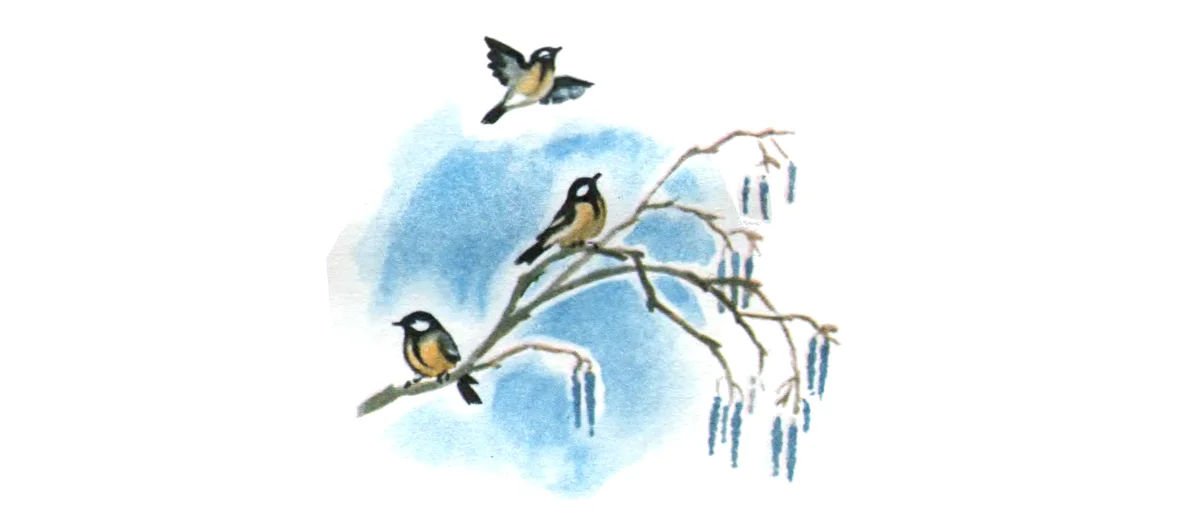 Синички на ветке