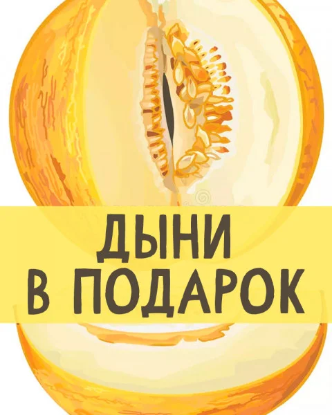 Дыни в подарок