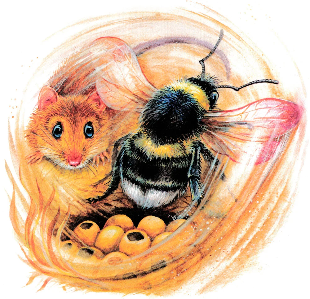 Мышонок и шмель