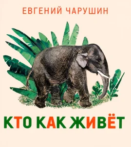 Кто как живет