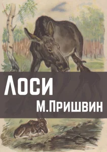 Лоси