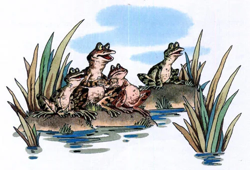 Лягушка-путешественница - картинка 10