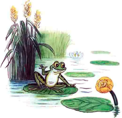 Лягушонок и кувшинка