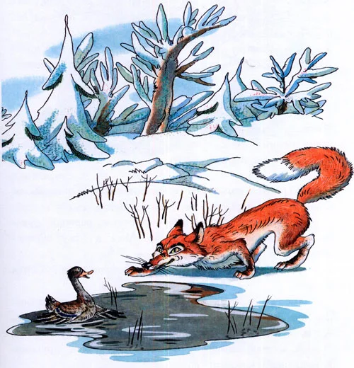 Серая шейка - картинка 8