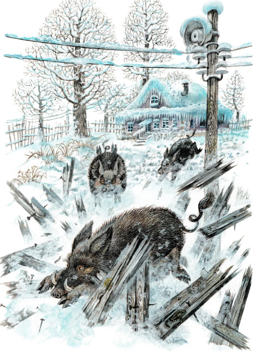 Кабаны убегают огородами