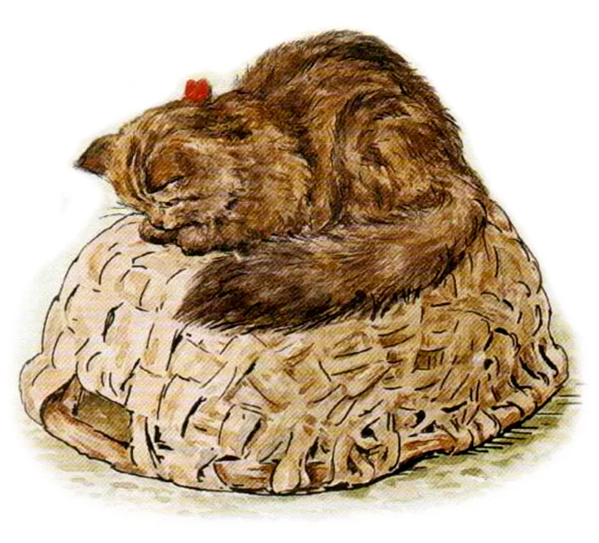 Кошка сидит на корзине