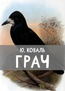 Грач