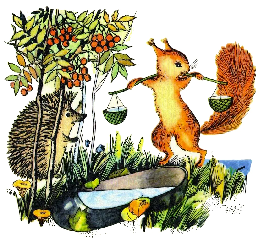 Белка носит воду в ведрах