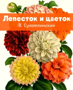 Лепесток и цветок