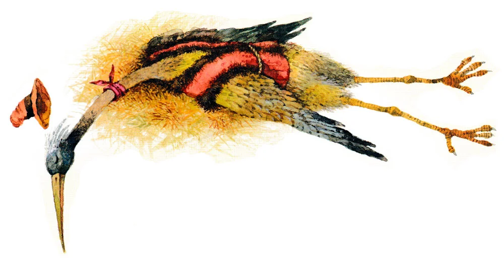 Журавль лежит