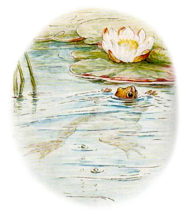 Лягушонок плывет к берегу