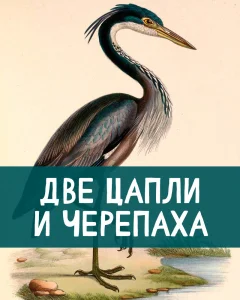 Две цапли и черепаха