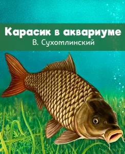 Карасик в аквариуме