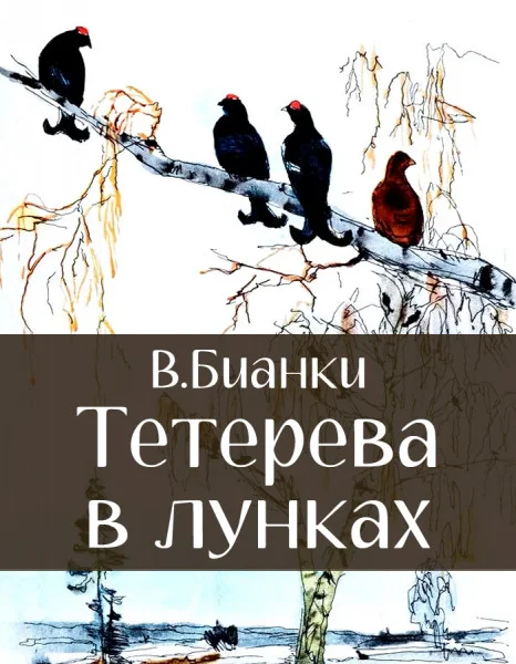 Тетерева в лунках