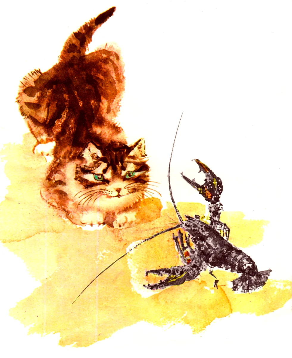 Котенок и черный рак