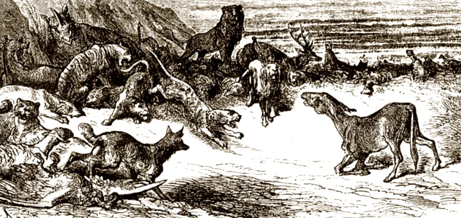 Звери дерутся