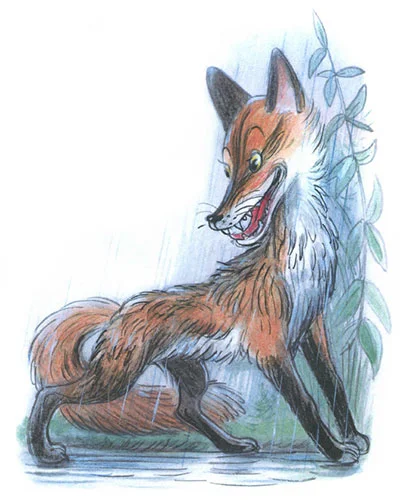 Сказка под грибом, фото 10