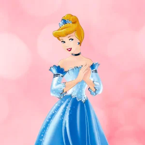 Дневник золушки