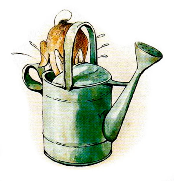 Кролик в лейке