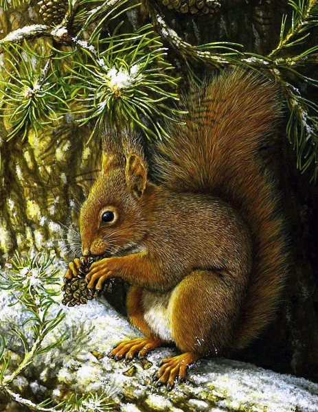 Дикий зверь