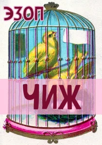 Чиж