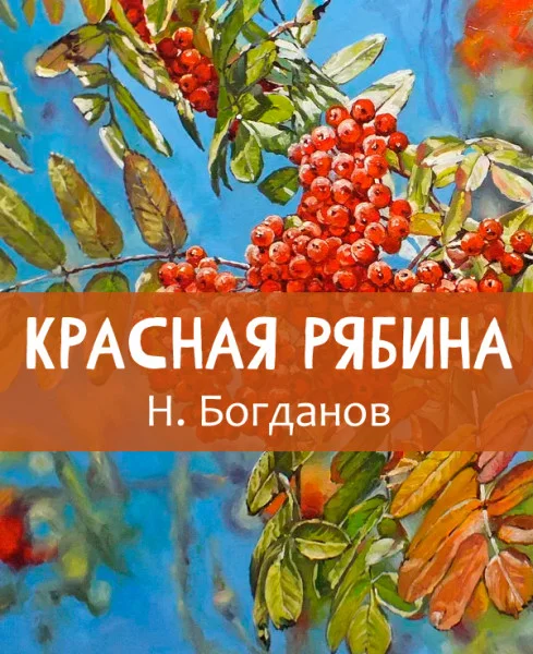Красная рябина