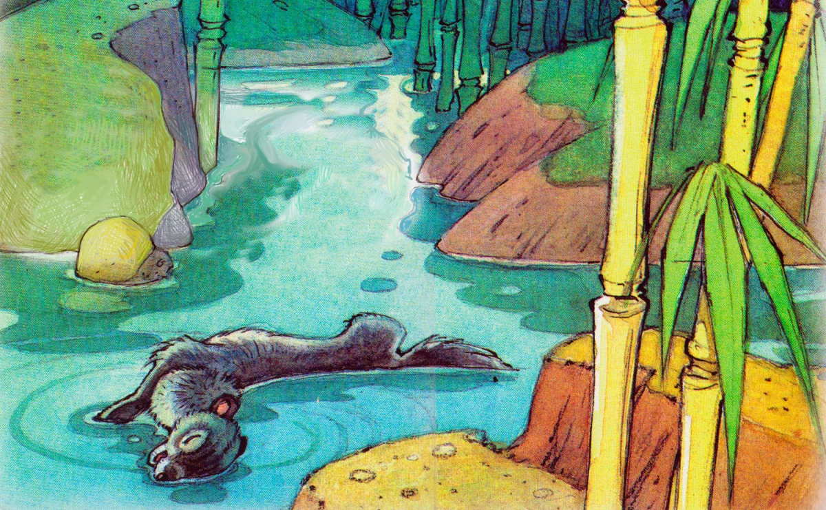 Мангуст потерял сознание