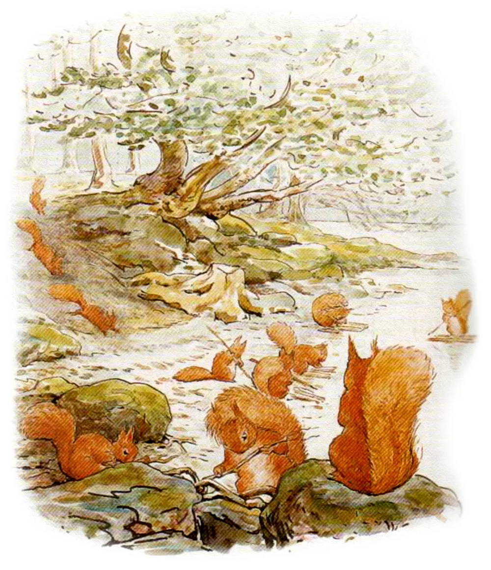 Бельчата на берегу реки