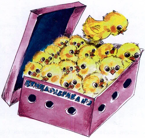 Сказка Жил-был Фип - фото 2