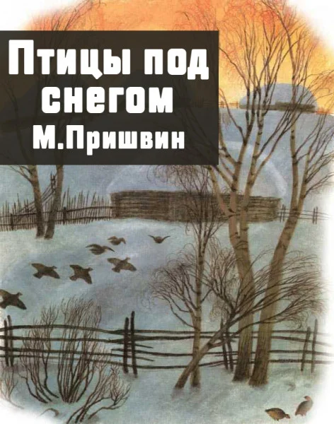 Птицы под снегом