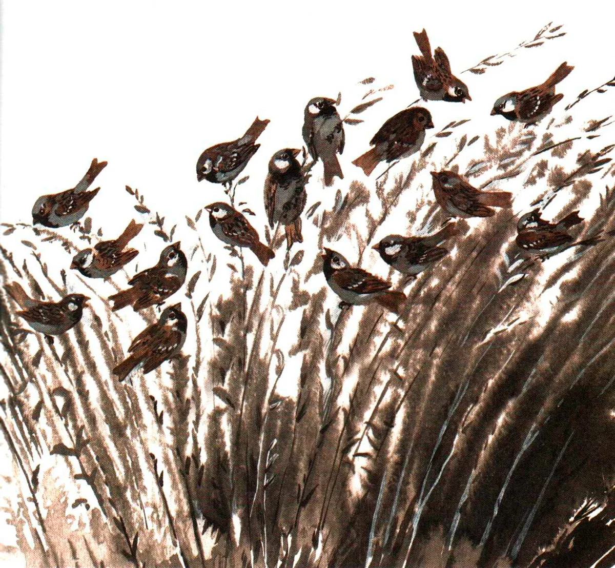 Воробьи на дереве