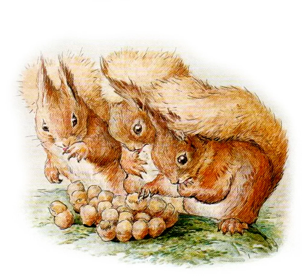 Бельчата и мед