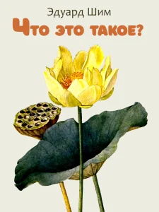 Что это такое?
