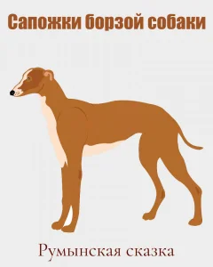 Сапожки борзой собаки