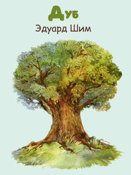 Дуб
