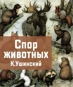 Спор животных