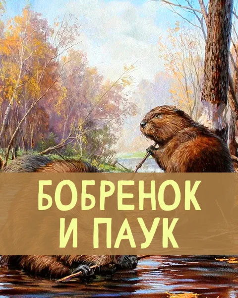 Бобренок и Паук