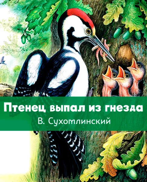 Птенец выпал из гнезда